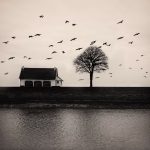 Flying in Normandie - Hélène Vallas